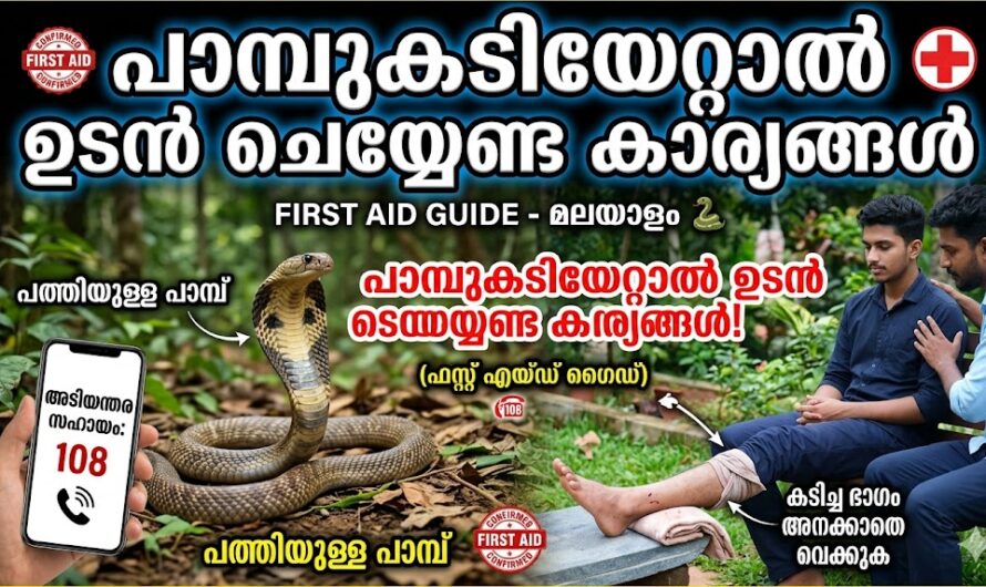 ഈ കാര്യങ്ങൾ എല്ലാവരും ശ്രദ്ധിക്കണം – കേരളത്തിലെ ഇപ്പോഴത്തെ അവസ്ഥ